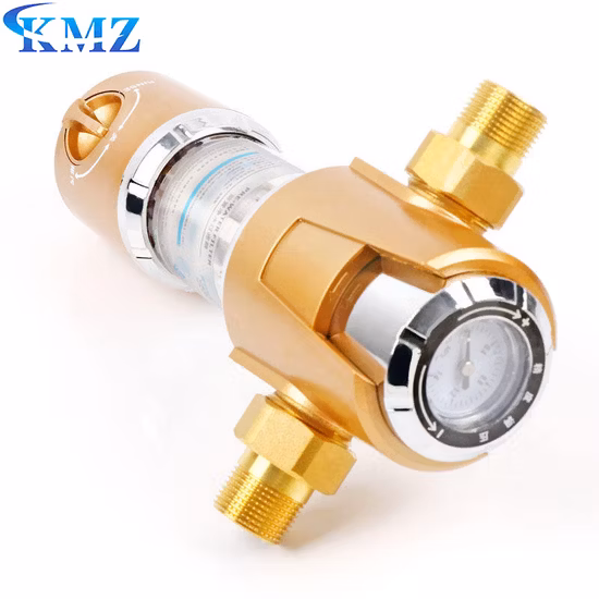 Prix ​​de gros Matériau en laiton 10 à 200 Mircons, élimination des métaux lourds en plein air, boîtier de préfiltre à eau pour toute la maison avec cartouche