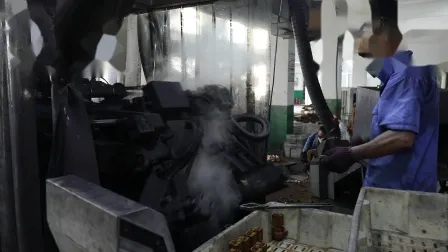 Purificateur d'eau naturel domestique populaire, 800gpd, préfiltre à eau en laiton simple